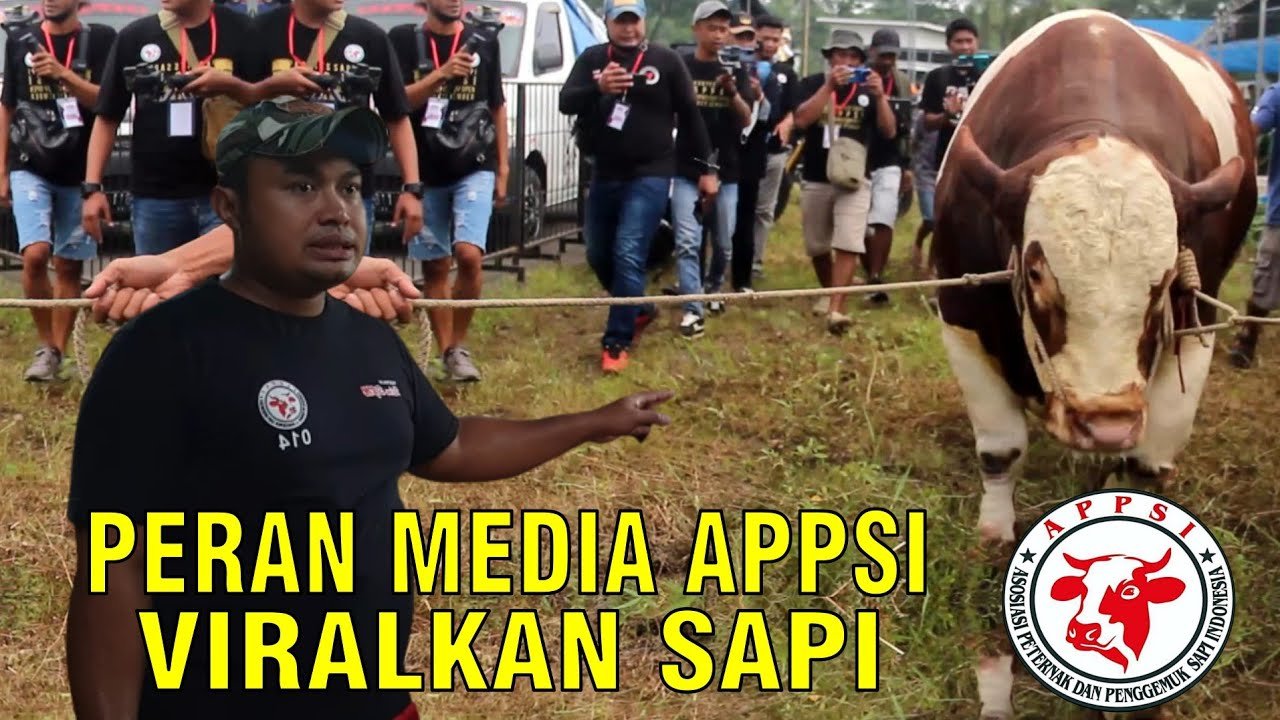 
                                 Media-APPSI-Viralkan-Sapi
